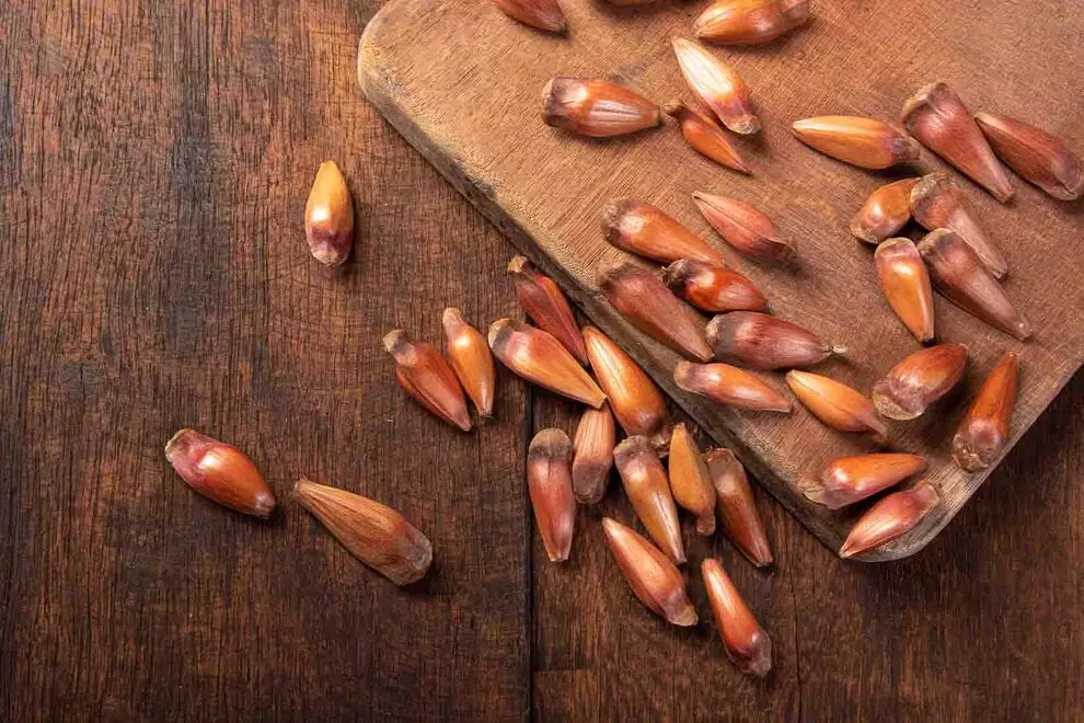 Imagem de diversos pinhões com casca espalhados sob uma mesa de madeira com uma tábua de cortar carne retangular, visto de cima 